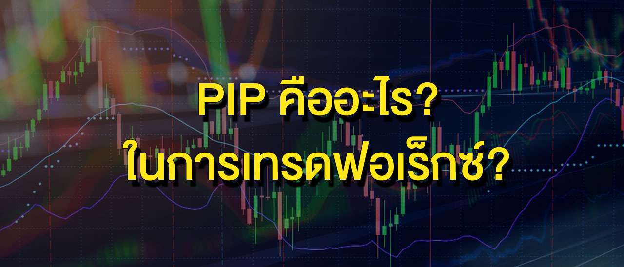 pip00