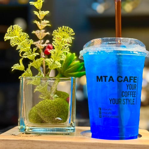 mta-cafe-(20)